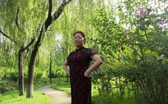 龙门飞甲百度影音